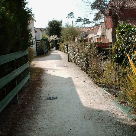 Les Pins Ensoleilles *